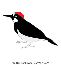 woodpecker bird animal flat vector icon