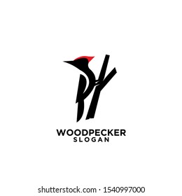 woodpecker bird black silhouette logo icon design template vector