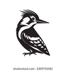 Woodpecker bird black silhouette Vector Illustrator.