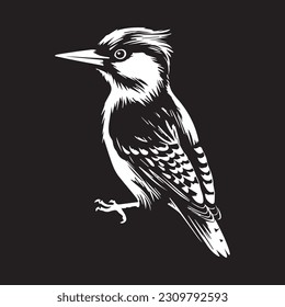 Woodpecker bird black silhouette Vector Illustrator.