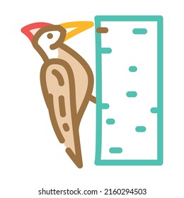 woodpecker bird color icon vector. woodpecker bird sign. isolated symbol illustration