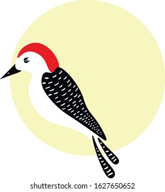 Woodpecker bird cute cartoon vector isolated on white background. Concept for print, logo, icon 