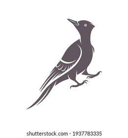 Woodpecker bird design vector illustration, Creative Woodpecker bird logo design concept template, symbols icons