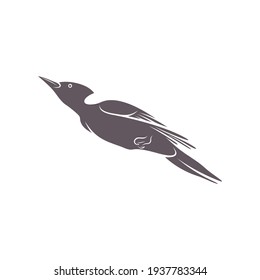 Woodpecker bird design vector illustration, Creative Woodpecker bird logo design concept template, symbols icons