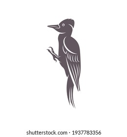 Woodpecker bird design vector illustration, Creative Woodpecker bird logo design concept template, symbols icons