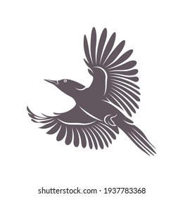 Woodpecker bird design vector illustration, Creative Woodpecker bird logo design concept template, symbols icons