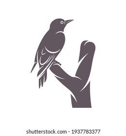 Woodpecker bird design vector illustration, Creative Woodpecker bird logo design concept template, symbols icons