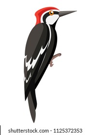Pájaro carpintero. Diseño de caricaturas planas. Icono de pájaro colorido. Plantilla de pájaros carpinteros. Ilustración vectorial aislada en fondo blanco.