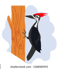 Woodpecker bird. Flat character design. Flat cartoon character design. Colorful bird icon.  Vector illustration isolated on white background