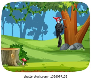 A woodpecker bird in forest illustration
