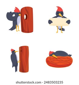 Woodpecker bird icons set cartoon vector. Funny colorful woodpecker. Cartoon character