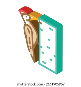 woodpecker bird isometric icon vector. woodpecker bird sign. isolated symbol illustration