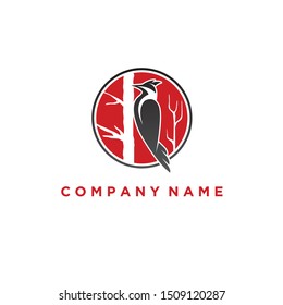 Woodpecker Bird Logo Vector Design