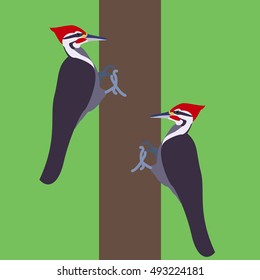 Woodpecker bird on a branch. Isolated vector illustration of a flat