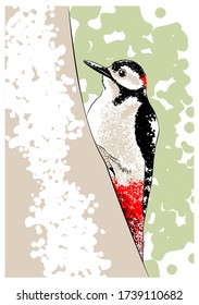 Pájaro pájaro carpintero en un árbol. Ilustración del vector