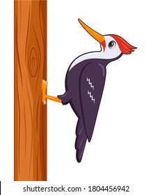 Woodpecker bird on a white background. Cartoon style vector illustration