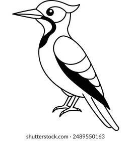 Woodpecker Bird Silhouette Vector illustration black and white
