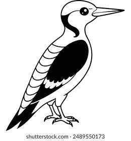 Woodpecker Bird Silhouette Vector illustration black and white