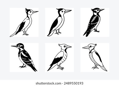 Woodpecker Bird Silhouette Vector illustration black and white
