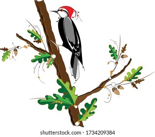 Woodpecker bird sitting on a branch of oak tree with elements of national Ukrainian Petrikov painting. Flat colorful design. Vector illustration isolated on white background.
