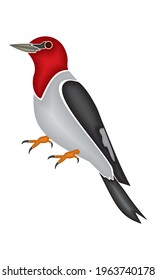 Woodpecker Bird Vector Illustration. Cute Woodpecker Template With Plastic Effect. Cartoon Of Woodpecker
