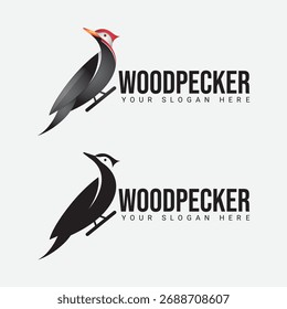 Woodpecker Bird Vector Logo Design