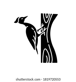 Woodpecker black glyph icon. Common bird, forest inhabitant, flying woodland creature. Zoology, ornithology silhouette symbol on white space. Pecker sitting on tree vector isolated illustration
