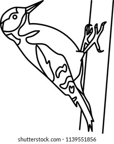 Woodpecker (British Birds)
