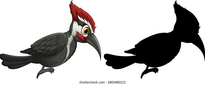 Woodpecker characters and its silhouette on white background illustration