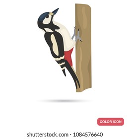 Woodpecker color flat icon for web and mobile design