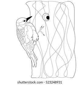 Woodpecker. For coloring book