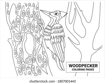 woodpecker coloring pages. animal coloring page.easy animal coloring page design