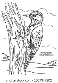 Woodpecker coloring pages. animal coloring page.easy animal coloring page design