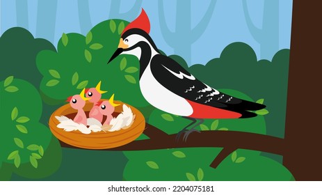 A woodpecker feeds its chicks in a nest on a branch and