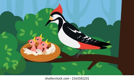 A woodpecker feeds its young in the nest