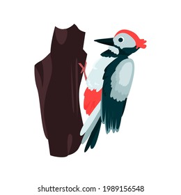 Icono plano de Woodpecker. Elemento vector de color de la colección de aves. Icono Creativo de Woodpecker para diseño web, plantillas e infografías.