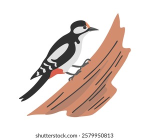 Woodpecker forest bird on a tree. Flying feathered. Animals, nature and ornithology. Cartoon vector illustration isolated on white background