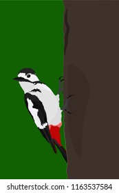 Woodpecker. Green background. Vector image. 