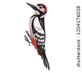 Woodpecker icon. Cartoon of woodpecker vector icon for web design isolated on white background