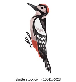 Woodpecker icon. Cartoon of woodpecker vector icon for web design isolated on white background