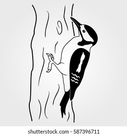Woodpecker icon isolated on white background.