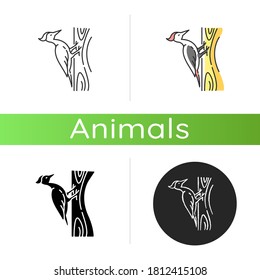 Woodpecker icon. Linear black and RGB color styles. Common bird, forest inhabitant, flying woodland creature. Zoology, ornithology. Pecker sitting on tree isolated isolated vector illustrations