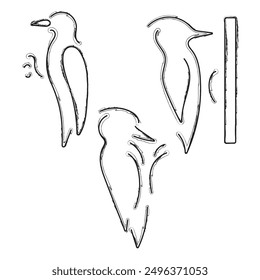 woodpecker icon set, brush strokes on white background. Vector illustration.