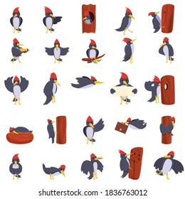 Woodpecker icons set. Cartoon set of woodpecker vector icons for web design