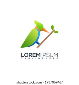 Woodpecker Illustration duck Colorful Gradient Vector Design