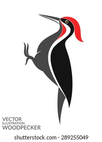 Woodpecker. Isolated bird on white background. Vector illustration EPS10 