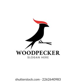 woodpecker logo design white background