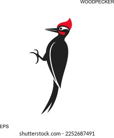 Woodpecker logo. Isolated woodpecker on white background