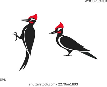 Woodpecker logo. Isolated woodpecker on white background