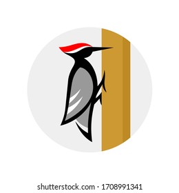 Woodpecker logo sitting on a tree. Stylized wood pecker bird in a round badge.